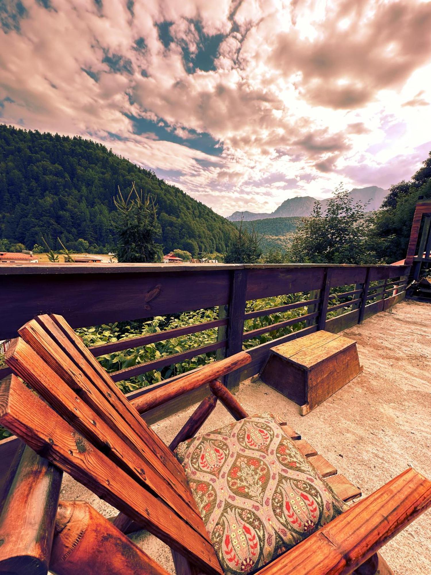 Doi Iepuri Apartment Azuga Bagian luar foto