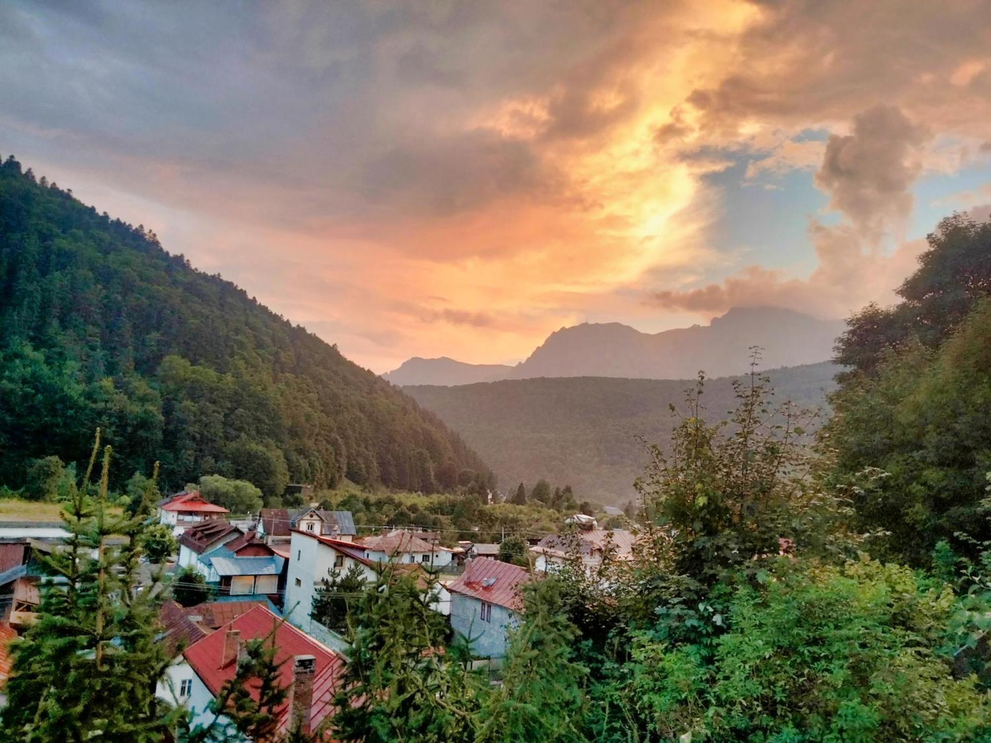Doi Iepuri Apartment Azuga Bagian luar foto